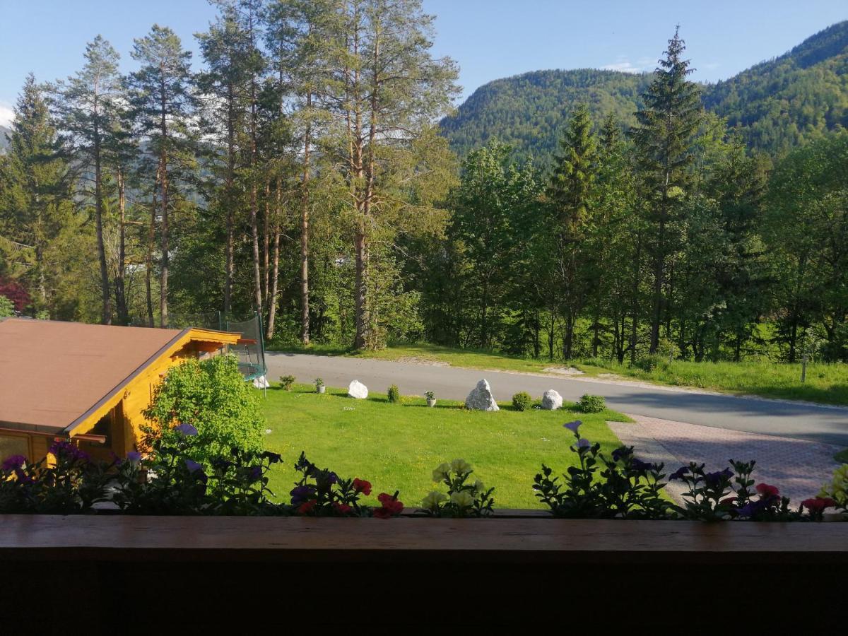 Haus Friedl Lägenhet Sankt Ulrich am Pillersee Exteriör bild
