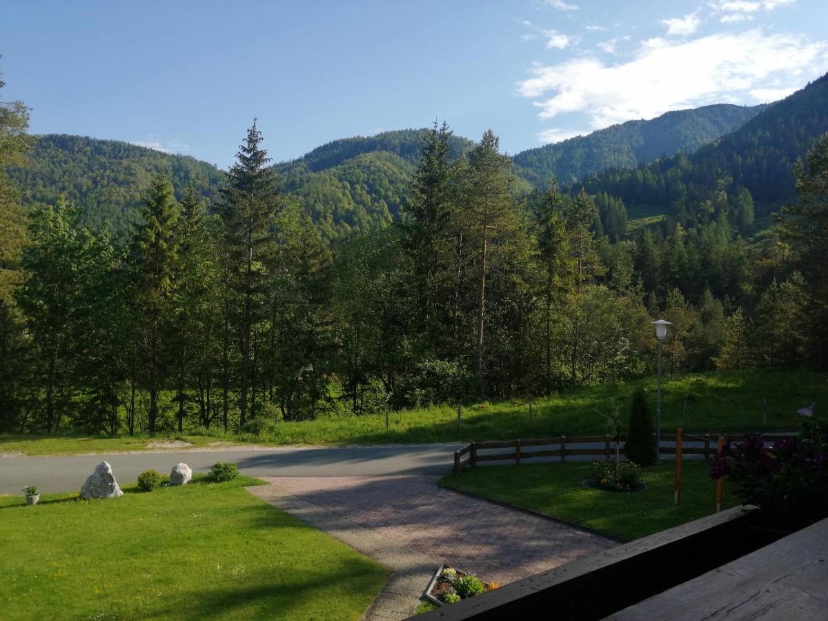 Haus Friedl Lägenhet Sankt Ulrich am Pillersee Exteriör bild